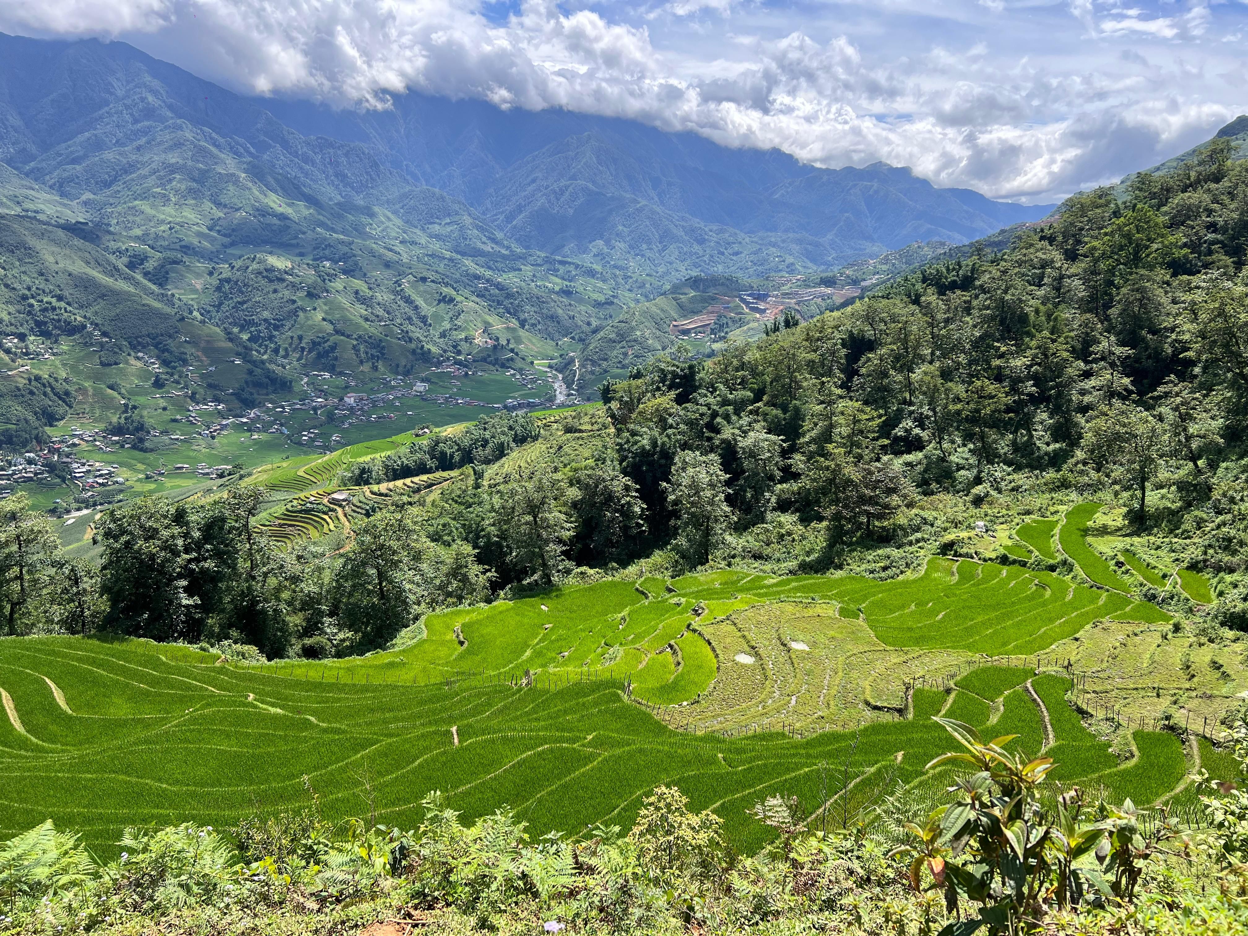 Bright green rice terraces below a forested slope, with the valley and mountains behind