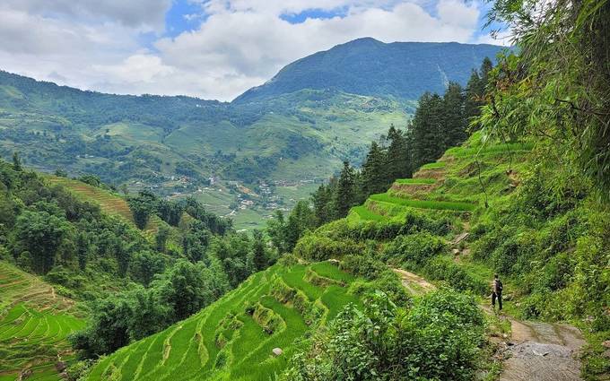 Photo 1 shared by Felix on Tripadvisor