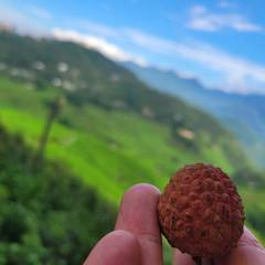 Photo 2 shared by Felix on Tripadvisor
