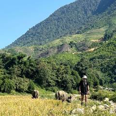 Photo 4 shared by Claudia C. on Tripadvisor