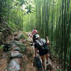 Photo 4 shared by Juliusvb on Tripadvisor
