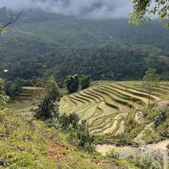Photo 3 shared by Chantalle B. on Tripadvisor
