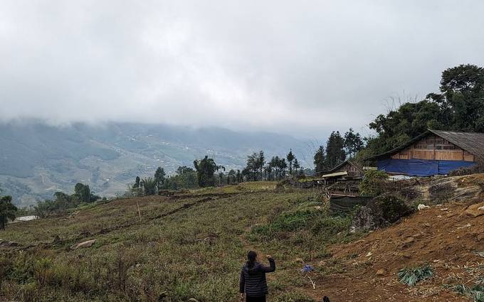 Photo 1 shared by Levienb on Tripadvisor