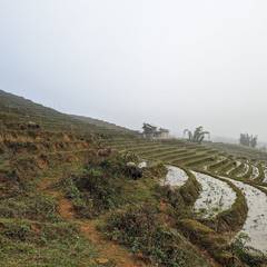 Photo 3 shared by Levienb on Tripadvisor