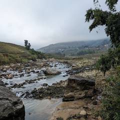 Photo 5 shared by Levienb on Tripadvisor