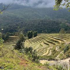 Photo 4 shared by J. O. on Tripadvisor