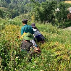 Photo 5 shared by A Tripadvisor traveller on Tripadvisor