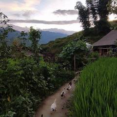 Photo 4 shared by Gorzatas on Tripadvisor