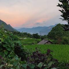Photo 5 shared by Gorzatas on Tripadvisor