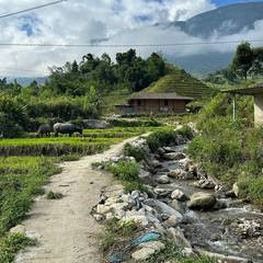 Photo 4 shared by Evi B. on Tripadvisor