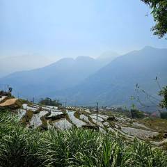Photo 4 shared by Rita P. on Tripadvisor